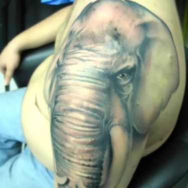 Elephant Face Tattoo