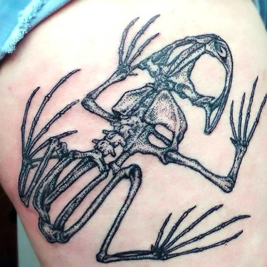 Dotwork Frog Skeleton Tattoo