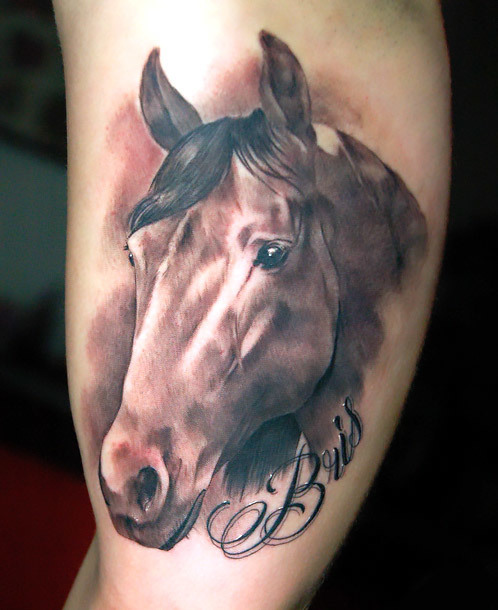 Beloved Horse Memorial Tattoo by Keith tattoo ink inkstagram  tattoosofinstagram inkordye tatt tattoos maryland tattooparlor   Instagram
