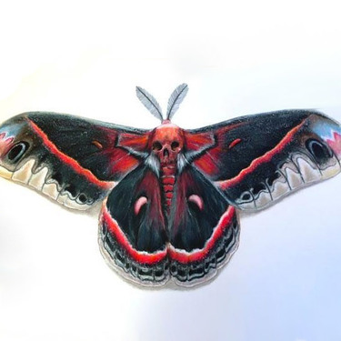 Amazing Buttefly Tattoo