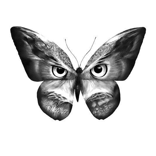 Black Butterfly Owl Tattoo Design