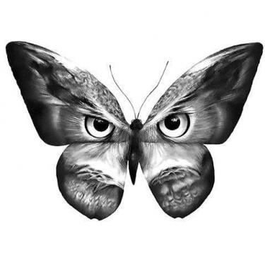 Black Butterfly Owl Tattoo