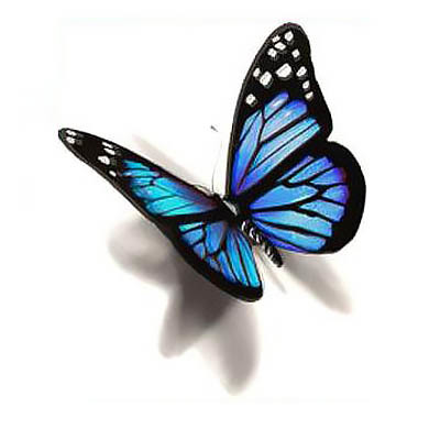 Blue 3D Butterfly Tattoo Design