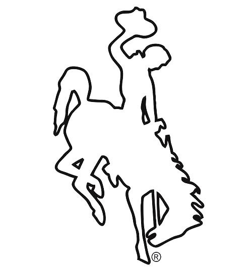 Bucking Horse Tattoo Design