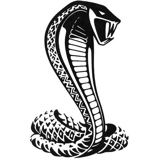 Cobra Snake | Boston Temporary Tattoos: Get Tatted Now, Not Forever