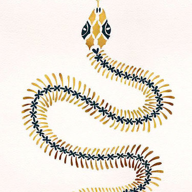 Colorful Snake Skeleton Tattoo