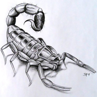 Cool 3D Scorpion Tattoo