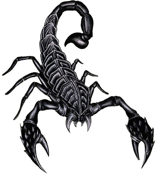 Cool Realistic Scorpion Tattoo Design