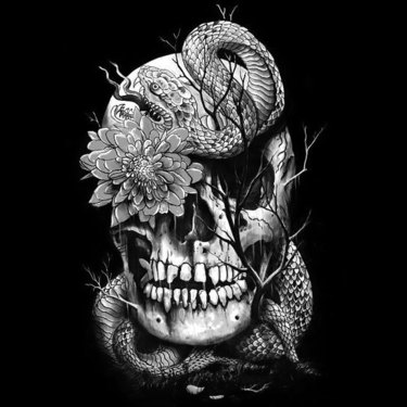 Cool Snake Skull Tattoo