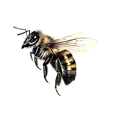 Cute Flying Bee Tattoo Design