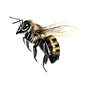 Cute Flying Bee Tattoo