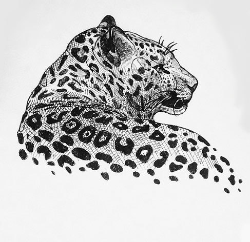 Leopard Tattoo Design