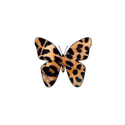Simple Leopard Butterfly Tattoo Design