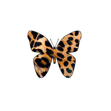 Simple Leopard Butterfly Tattoo