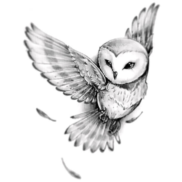 Barn Owl Tattoo Design