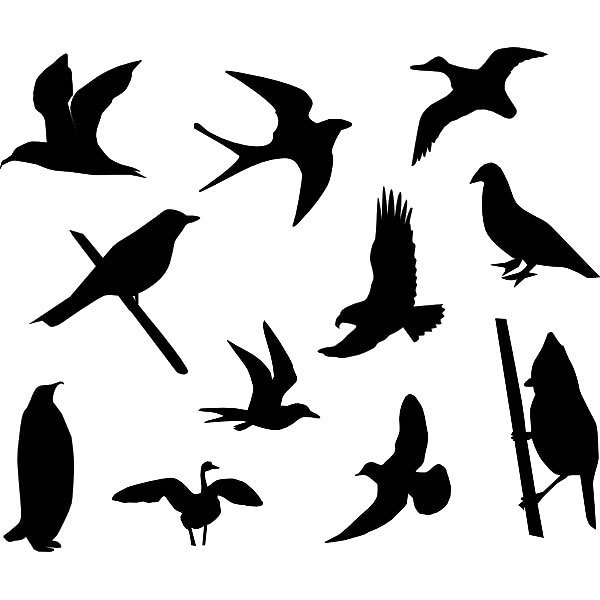 Birds Silhouettes Tattoo Design
