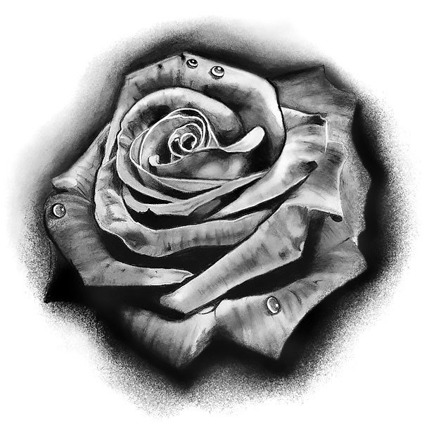 Black and Gray Rose Tattoo Design
