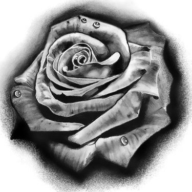Black and Gray Rose Tattoo