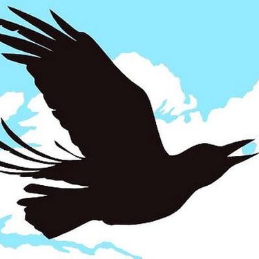Blackbird In Sky Tattoo