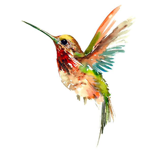 Hummingbird Tattoo Meaning  What do Hummingbirds Symbolize