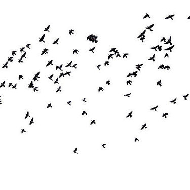 Flock of Birds Tattoo