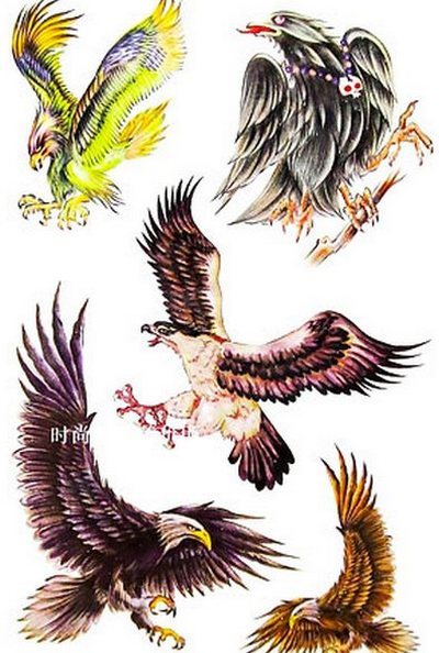 Old School Hawks Tattoo Design