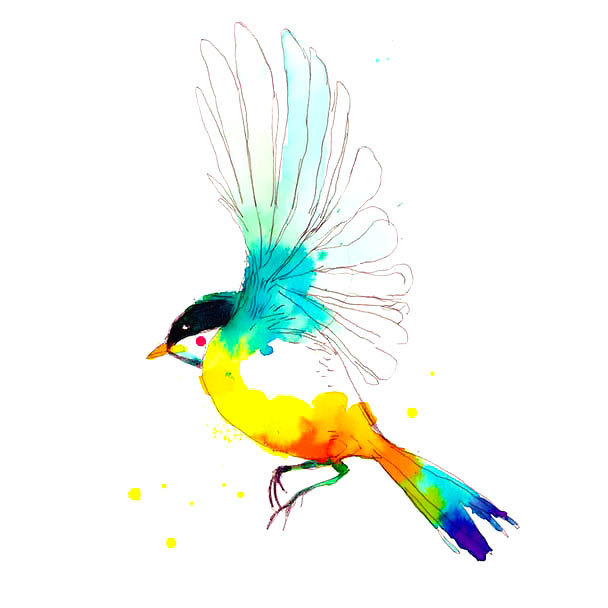Painted Watercolor Bird Tattoo Design