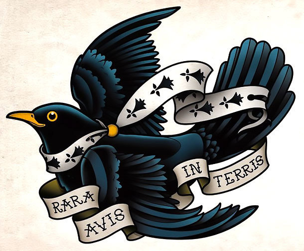 Rara Avis In Terris Blackbird Tattoo Design