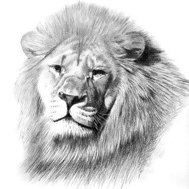 Realistic Lion Tattoo