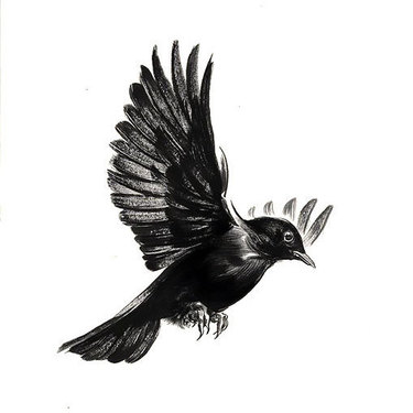 Simple Blackbird Tattoo