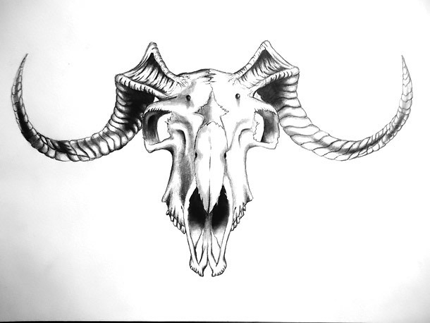 Goat Skull Tattoo Design