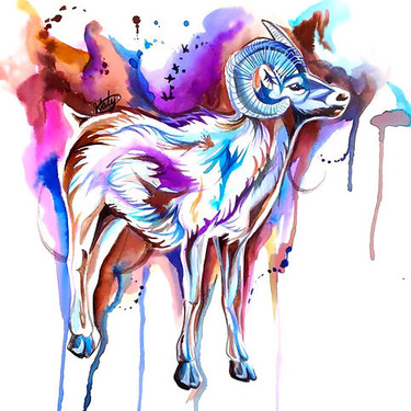 Watercolor Sheep Tattoo