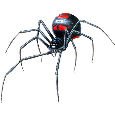Awesome Black Widow Design for Men Tattoo