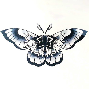 Beautiful Moth Tattoo