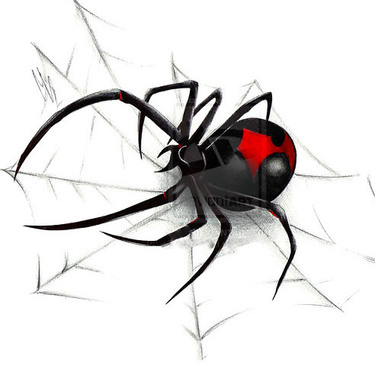 Black Widow on Spider Web Tattoo