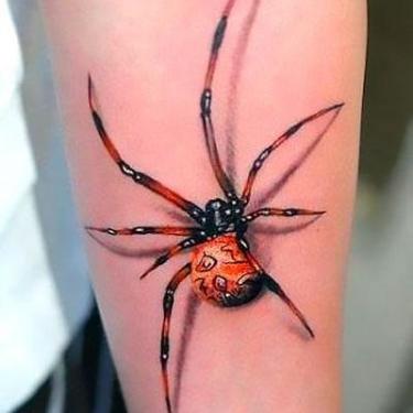 Beautiful 3D Spider Tattoo
