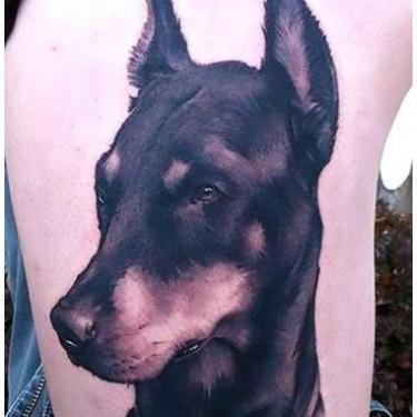 Beautiful Doberman Dog Tattoo