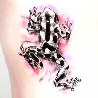 Beautiful Frog Tattoo
