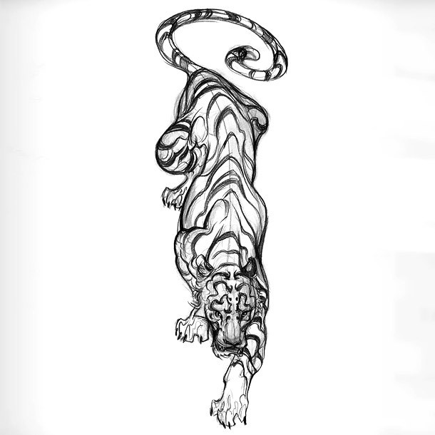Sketch Style Tiger Tattoo Design